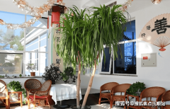 若要前去市区其他区域